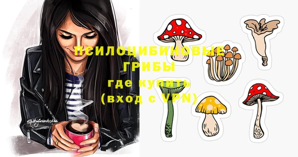 мескалин Коряжма