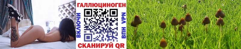 как найти наркотики  Узловая  Псилоцибиновые грибы ЛСД 